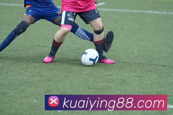 快盈VIII官网平台生态图